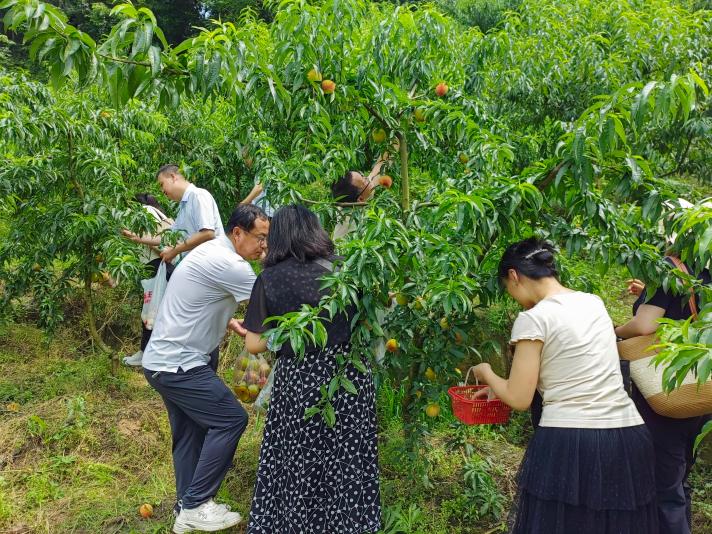 我院开展户外工会活动