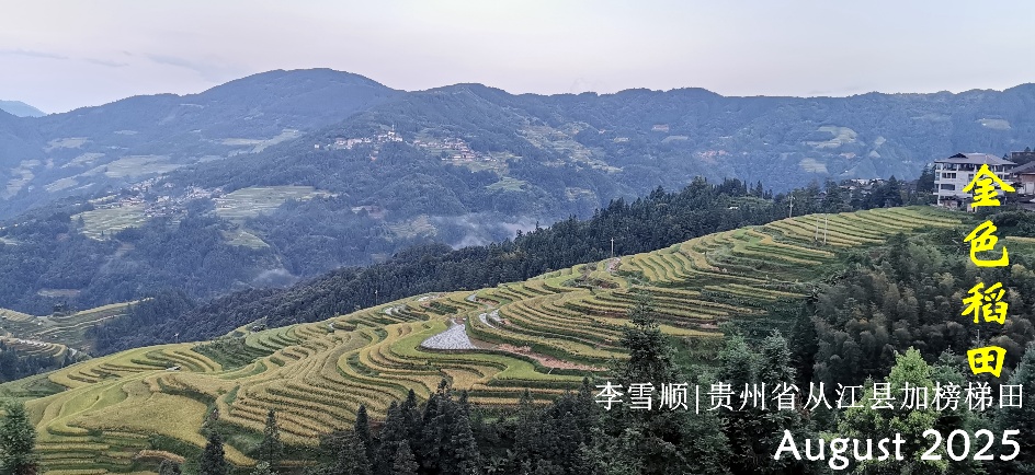 外国语学院开展“多彩生活”作品...